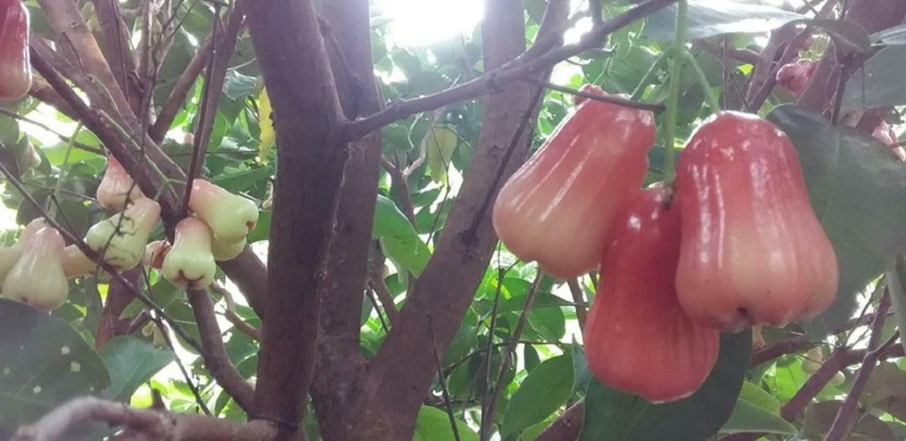 Seri Kenangan Kota Samarahan Exterior foto